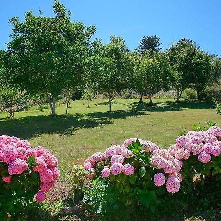 Pension Casa Elena Reinante ภายนอก รูปภาพ