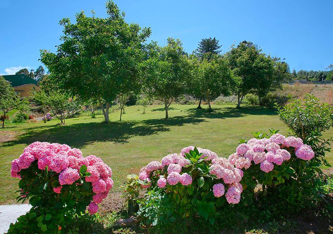 Pension Casa Elena Reinante ภายนอก รูปภาพ