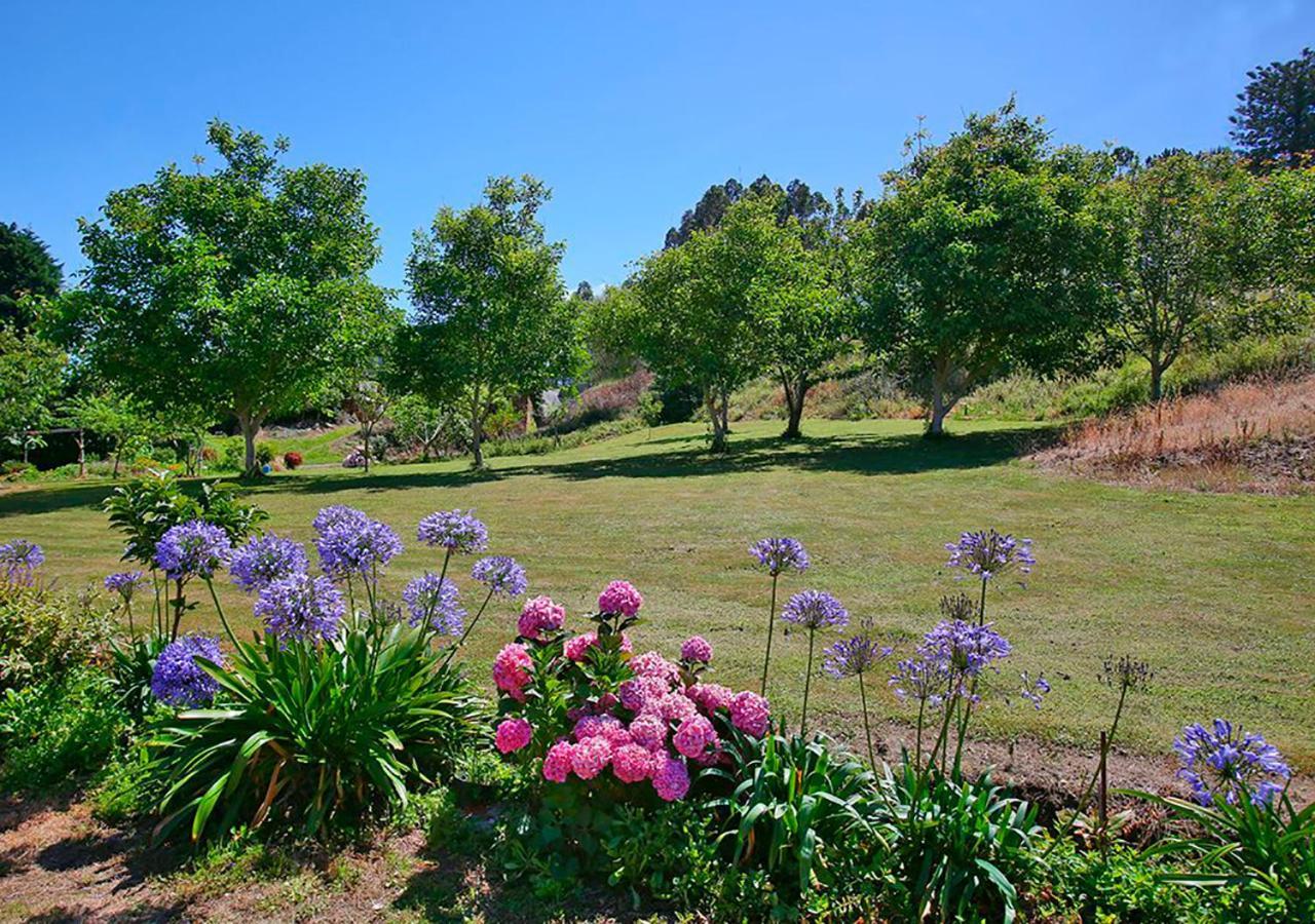 Pension Casa Elena Reinante ภายนอก รูปภาพ